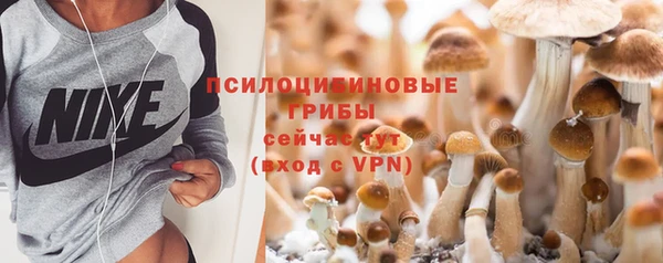 молекула духа Алексин