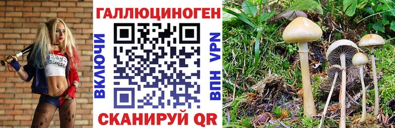Галлюциногенные грибы MAGIC MUSHROOMS  блэк спрут   Сясьстрой  наркота 