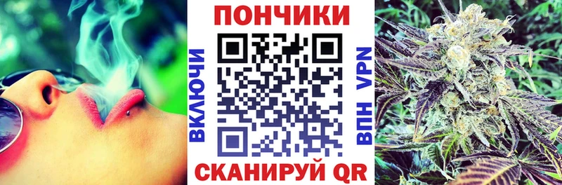 хочу наркоту  Сясьстрой  Бошки Шишки индика 